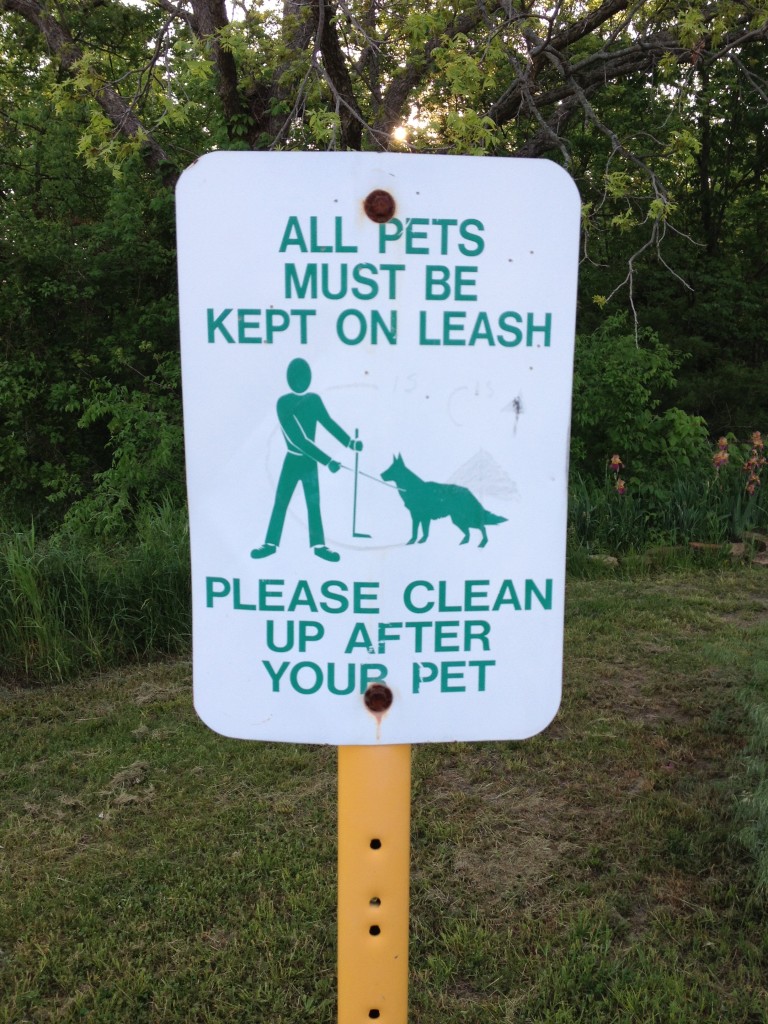 Clean up after your pet