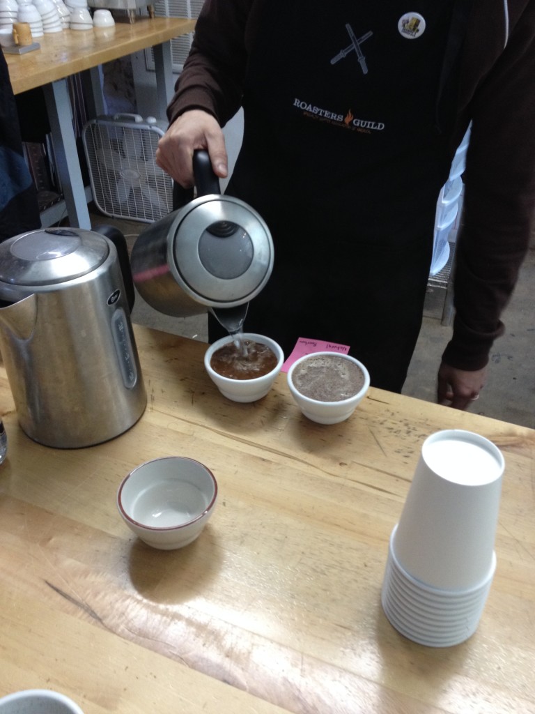 Getting the coffee ready for cupping