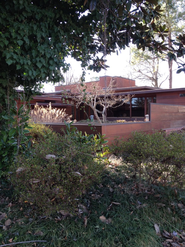 Rosenbaum House rear