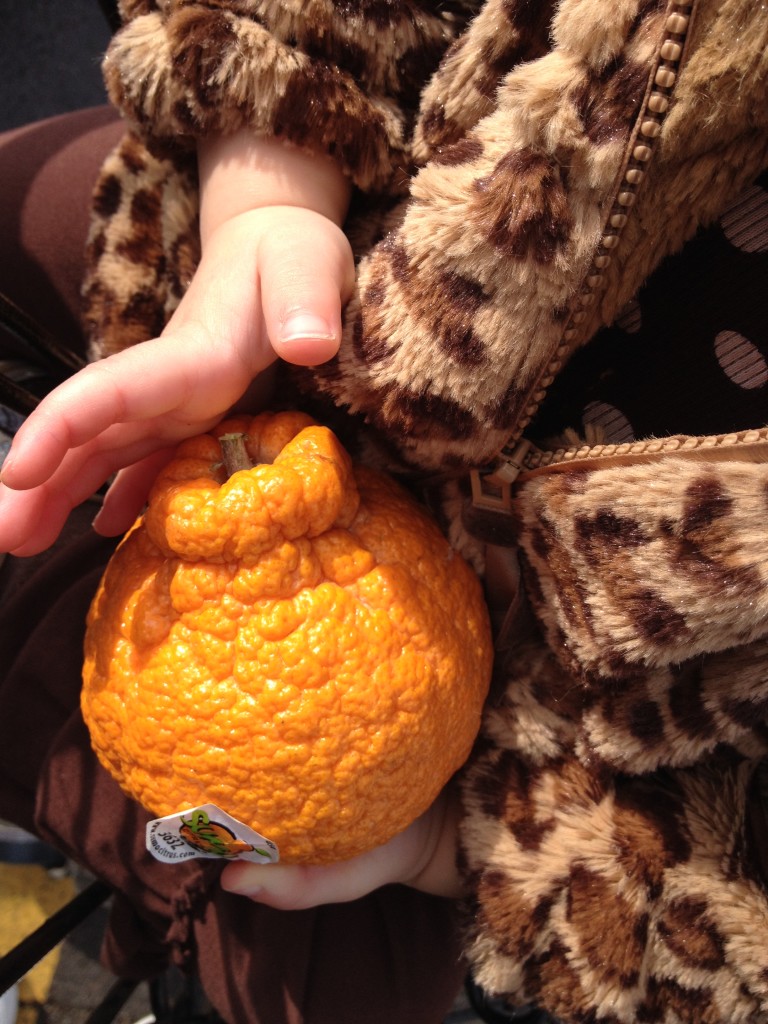 sumo_mandarin1