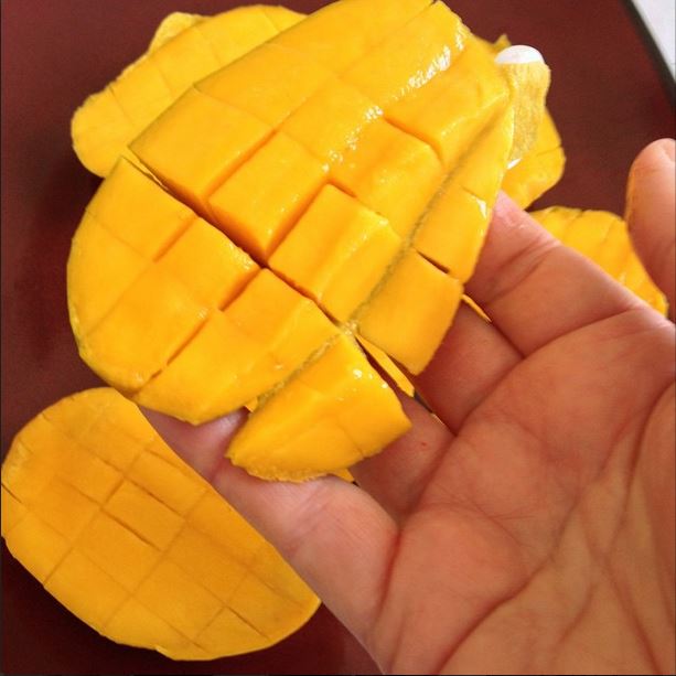 mangoes