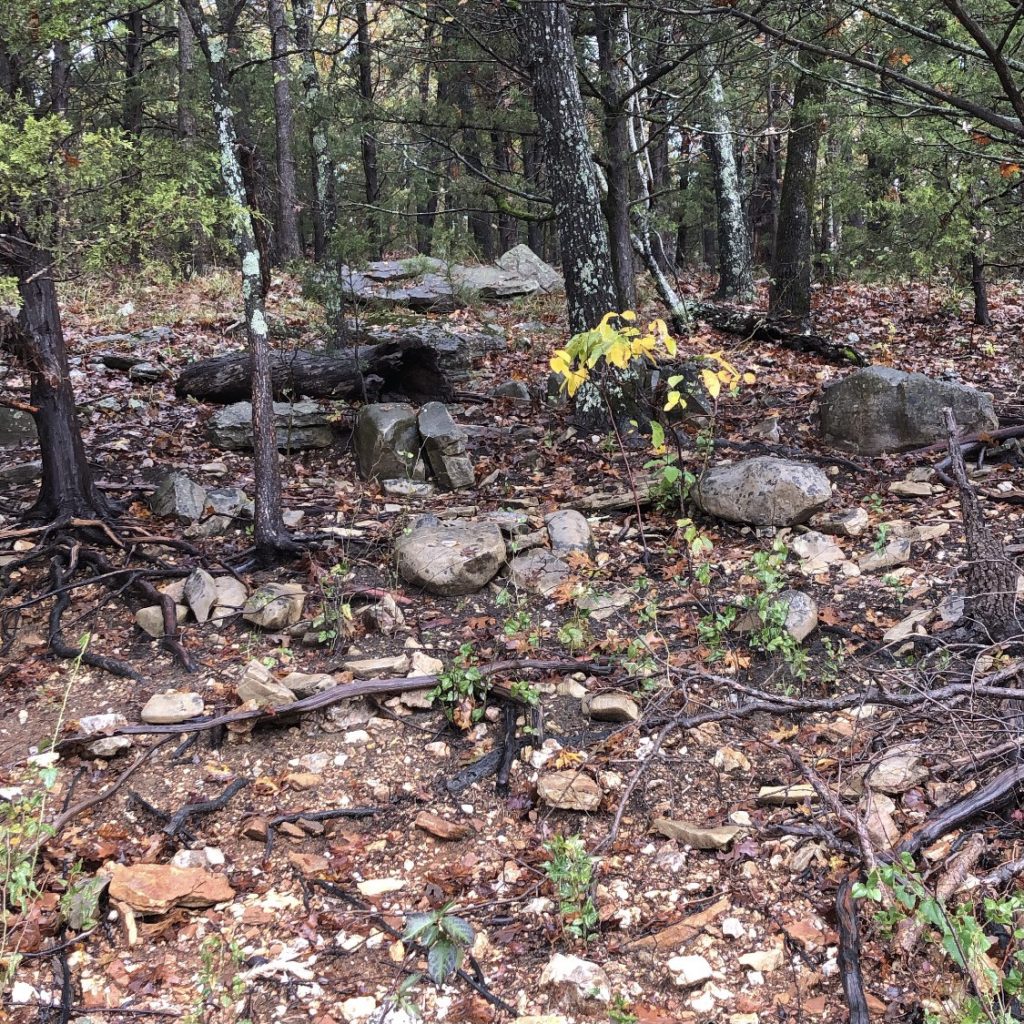 Rocks in Arkansas near the lake with some driftwood